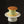 Load image into Gallery viewer, 生どら