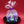 Load image into Gallery viewer, 金平糖
