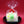 Load image into Gallery viewer, 金平糖
