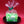 Load image into Gallery viewer, 金平糖
