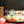 Load image into Gallery viewer, 金平糖
