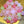 Load image into Gallery viewer, 金平糖
